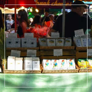 Shopping in Vilas County WI